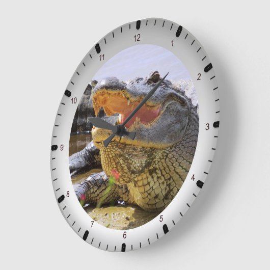 Gator Große Wanduhr (Winkel)