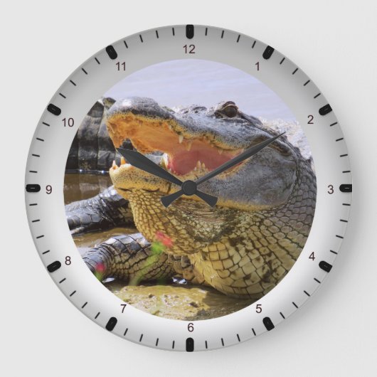 Gator Große Wanduhr (Vorderseite)