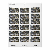 Gator Head Address Labels Adressaufkleber (Vorne)