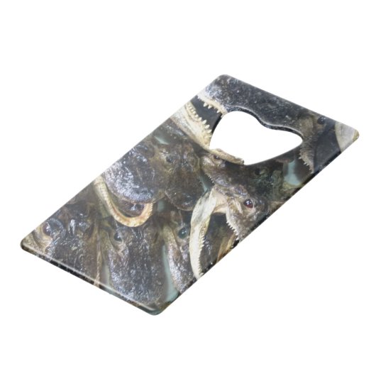 Gator Head Flaschenöffner (Vorderseite Schrägansicht)