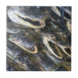 Gator Head Keramik Tile Fliese