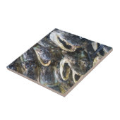Gator Head Keramik Tile Fliese (Seite)