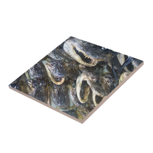 Gator Head Keramik Tile Fliese (Seite)