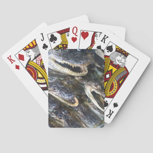 Gator Head Playing Cards Spielkarten (Rückseite)