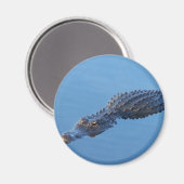 Gator I Magnet (Vorderseite/Rückseite)