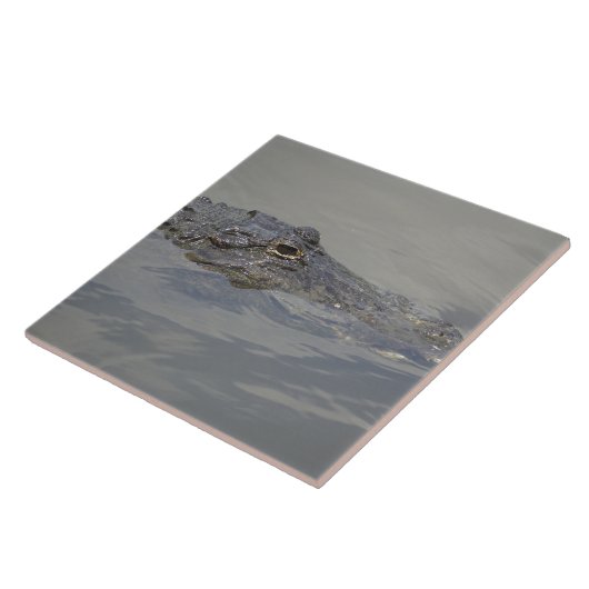 Gator in Wait Fliese (Seite)