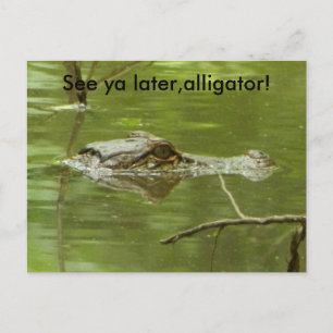 Gator in Wasser nah Postkarte