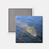 Gator Magnet (Vorderseite/Rückseite)