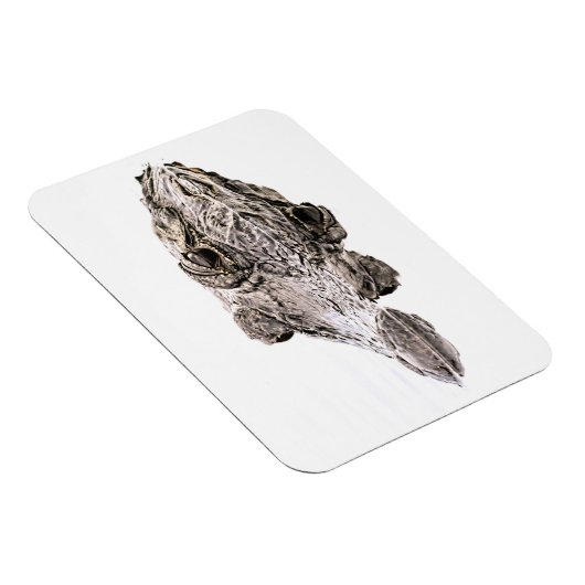 Gator Magnet (Rechte Seite)