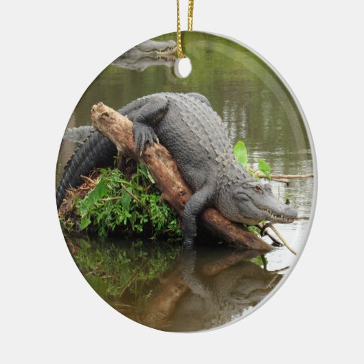 Gator Ornament (Links)