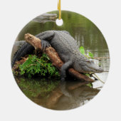 Gator Ornament (Hinten)