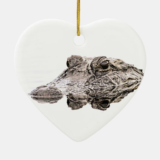 Gator Ornament (Hinten)