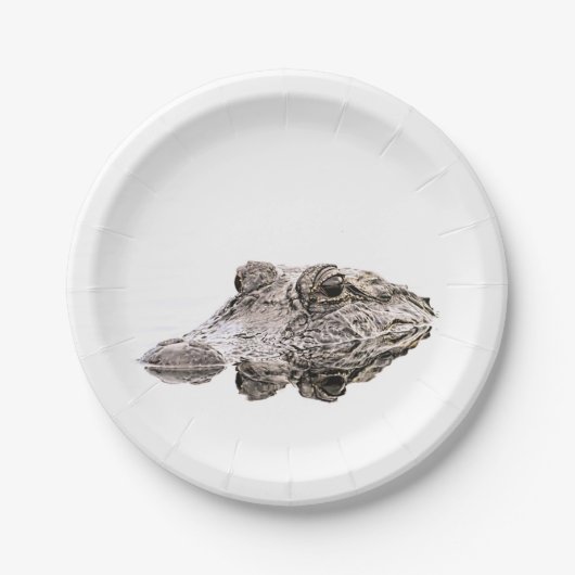 Gator Paper-Teller Pappteller (Vorderseite)