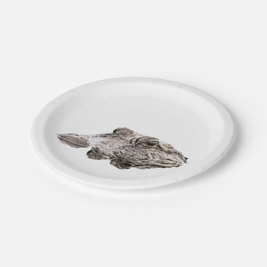 Gator Paper-Teller Pappteller (Schrägansicht)