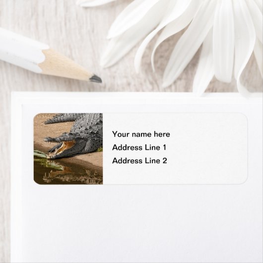 Gator Portrait mit Mouth Wide Open (Insitu)