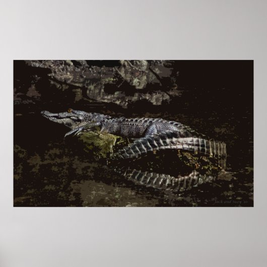 Gator Portrait Poster (Vorne)