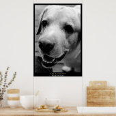 GATOR POSTER (Küche)