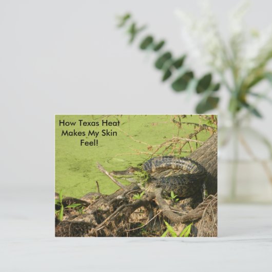 Gator Postkarte (Stehend Vorderseite)