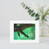 Gator Postkarte (Stehend Vorderseite)