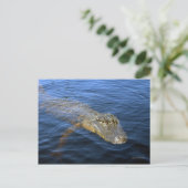 Gator Postkarte (Stehend Vorderseite)