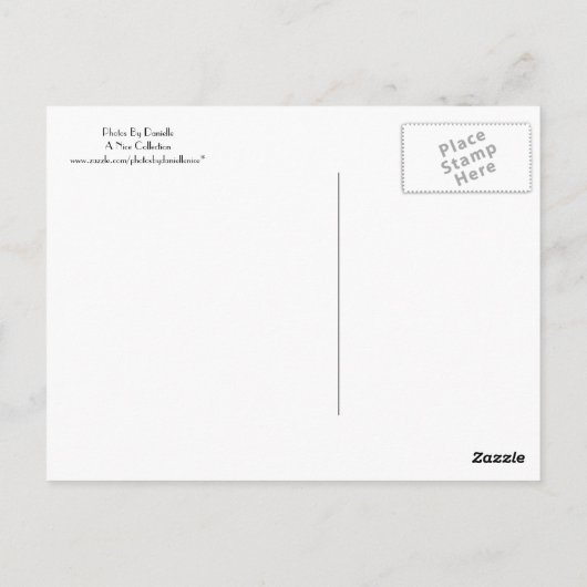 Gator Postkarte (Rückseite)