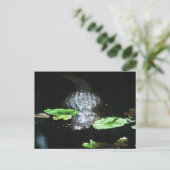 Gator Postkarte (Stehend Vorderseite)