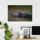 Gator Resting Poster -36x24 -andere Größen verfügb (Heimbüro)