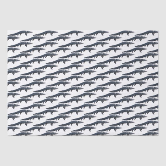 Gator Tissue Paper Seidenpapier (Vorderseite)