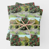 Gator Weihnachtsbaum Wrapping Paper Sheets Geschenkpapier Set (Beispiel)