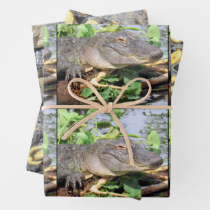 Gator Wrapping Paper Sheets - 3 Design-Set Geschenkpapier Set