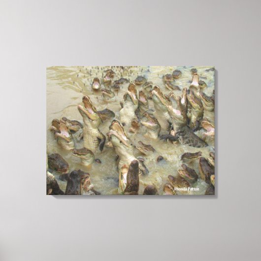 Gatorfütterung Leinwanddruck (Vorderseite)