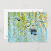 Gators Aligamps Postkarte (Vorne/Hinten)