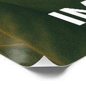 Gatos Não Pagam Impostos Poster (Ecke)