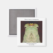 Gatsu Promo Magnet (Vorderseite/Rückseite)