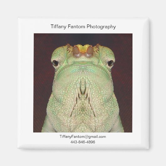 Gatsu Promo Magnet (Vorne)