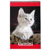 GATTI GATTINI CUCCIOLI - Calendario Kalender (Titelbild)