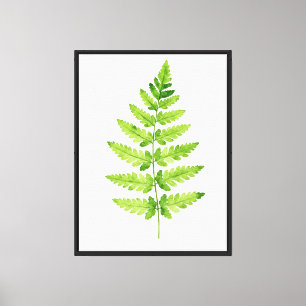Gattung Dryopteris Leinwanddruck
