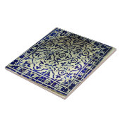 Gaudis Park Guell Mosaik-Fliesen Barcelona Fliese (Seite)