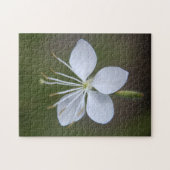 Gaura lindheimeri - Whirling Schmetterlinge Puzzle (Horizontal)