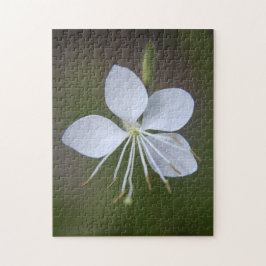 Gaura lindheimeri - Whirling Schmetterlinge Puzzle