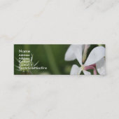 Gaura Mini Visitenkarte (Vorderseite)