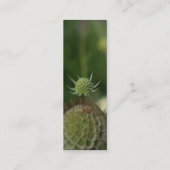 Gaura Mini Visitenkarte (Rückseite)