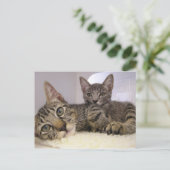 Gaven & Grover Postkarte (Stehend Vorderseite)