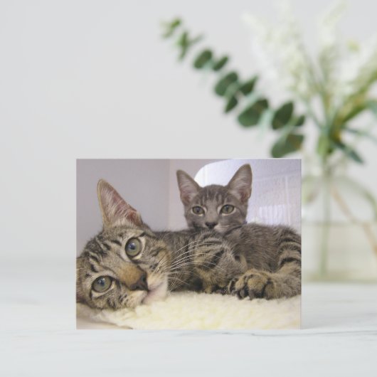 Gaven & Grover Postkarte (Stehend Vorderseite)