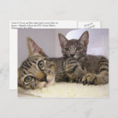 Gaven & Grover Postkarte (Vorne/Hinten)