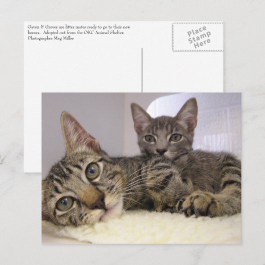 Gaven & Grover Postkarte (Vorne/Hinten)