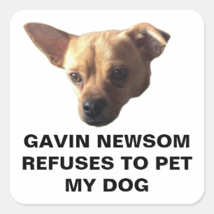 Gavin Newsom weigert sich, meinen Hund zu pflücke Quadratischer Aufkleber