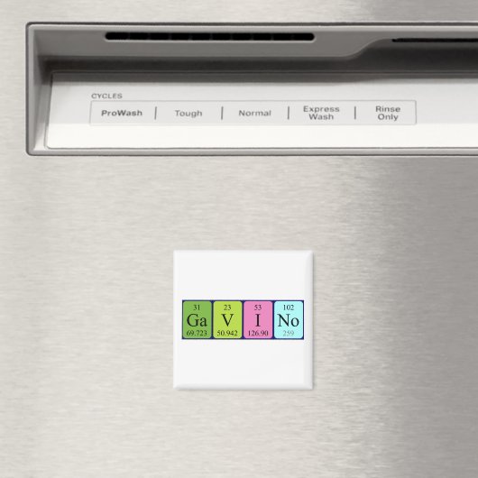 Gavino-Magnet Magnet (In Situ (Geschirrspüler))