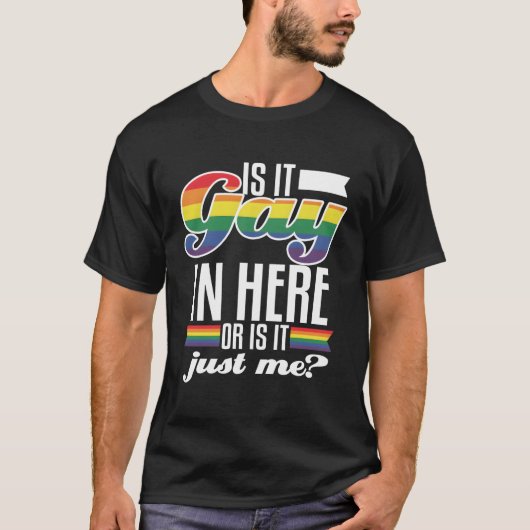 Gay in here oder Einfach lustig ich Prix Lgbtq Rai T-Shirt (Vorderseite)