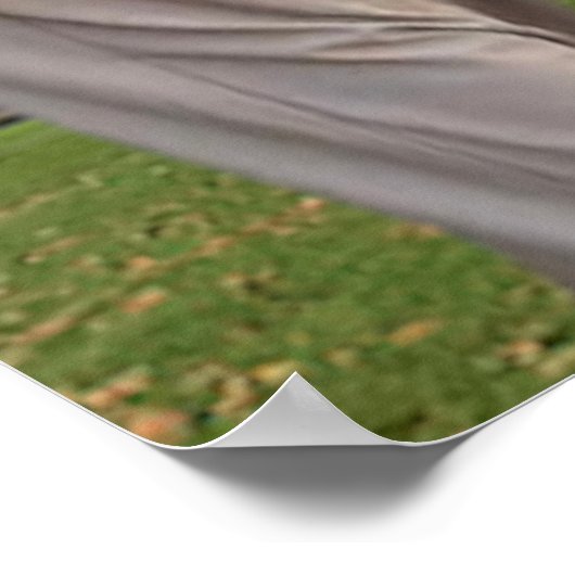 Gay Paree Poster (Ecke)